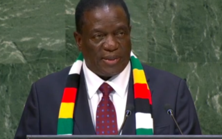 Emmerson Mnangagwa, Zimbabwean president